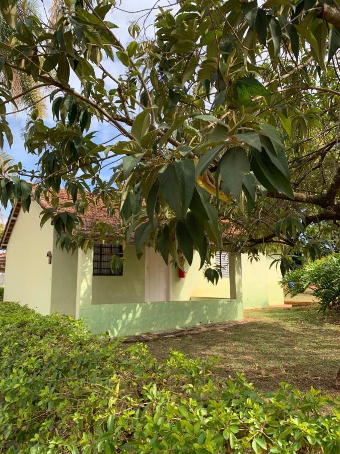 Guest house Jacare 2*